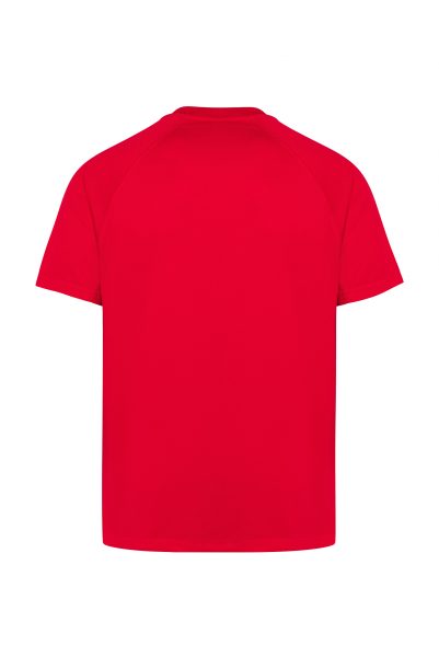 Camiseta técnica 100% poliéster hombre - Imagen 5